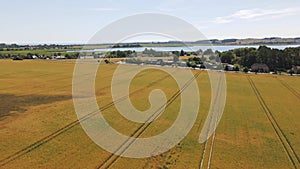 Aerial landscape of rapeseed oil agricultral fields on the island of Ruegen in Baltic Sea Germany