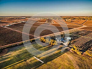 Aerial landscape of rectangles of vineyards.