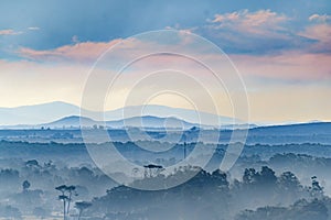 Aerial Landscape Scene, Punta Ballena, Uruguay