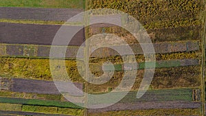 Aerial landscape shotof the beautiful colorful agriculure fields