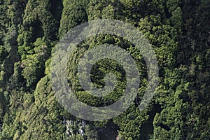 Aerial landscape showing vegetation on coastal hillsides at the eastcoast of the island of Sao Miguel