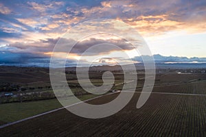 Aerial Landscape of Sunset and Vineyards in California