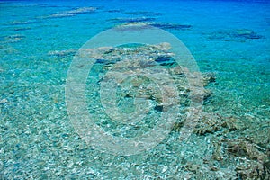 Aerial landscape top view of Red sea bottom with coral reefs through aquamarine transparent water surface south tropical nature