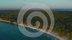 Aerial landscape of tropical coast and palm trees line up along along the paradise in Candaraman island at sunset. From above smal