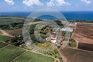 aerial landscape view around a big farm located near the ocean on Mauritius countryside
