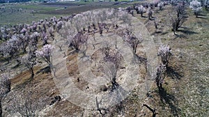 Aerial landscape view of farm land, green fields and rare shrubs on blue cloudy sky background. Shot. Beautiful forested photo