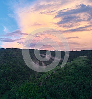 Aerial landscape view of a summer forest at sunset