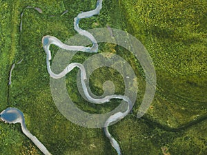 Aerial landscape of winding river in green field, top view