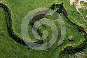 aerial landscape of winding river in green field, top view of beautiful nature texture from drone