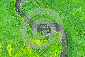 Aerial landscape of winding small river, stream in green field, top view meadow