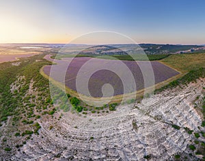 Aerial meadow dig panorama of lavender