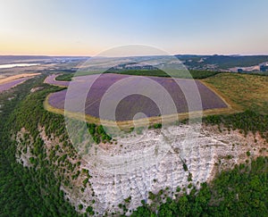 Aerial meadow dig panorama of lavender on sunset