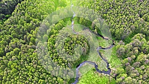 Aerial. Meandering river in the forest. View above from drone. Beautiful spring nature