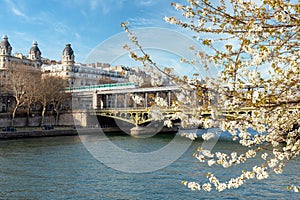 Aerial Metro traffic on Bir-Hakeim bridge with Cherry tree in full bloom - Paris