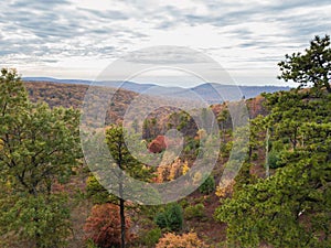 Aerial of Michaux State Forest in Pennsylvania During Fall in th