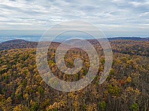 Aerial of Michaux State Forest in Pennsylvania During Fall in th