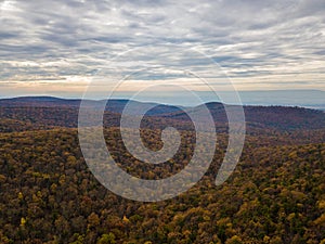 Aerial of Michaux State Forest in Pennsylvania During Fall in th