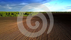 Aerial motion above boron field rows without sprouting by forest