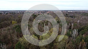 Aerial natural view of a forest extinction