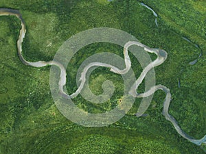 aerial nature landscape of winding river in green field, top view