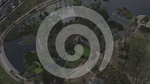 AERIAL: Over Echo Park in Los Angeles, California with Palm Trees, Cloudy