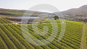 Aerial over grape vines and lush valley