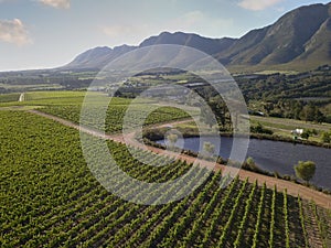 Aerial over vineyard in beautiful valley