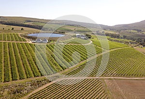 Aerial over vineyard in beautiful valley