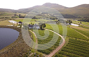 Aerial over vineyard in beautiful valley