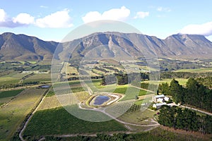 Aerial over vineyard in beautiful valley