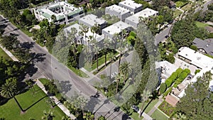 Aerial overlooking palm trees, neighborhood homes, sunny day, Los Angeles, drone