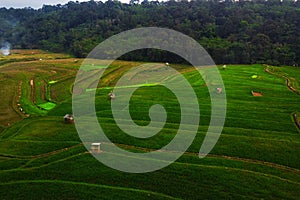 aerial panorama of agrarian rice fields landscape like a terraced rice fields ubud Bali Indonesia