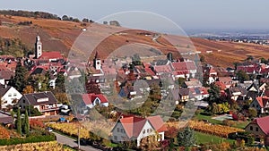 Aerial panorama of autumn Riquewihr vineyards, Alsace, France