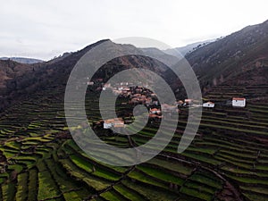 Aerial panorama of green agriculture farming terraces old remote rural mountain village town Porta Cova Portugal