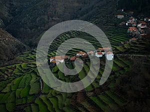 Aerial panorama of green agriculture farming terraces old remote rural mountain village town Porta Cova Portugal