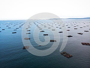 Aerial panorama of mussel farm platforms fishing industry aquaculture seafood production in Ria de Arousa Galicia Spain