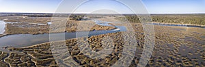 Aerial panorama of South Carolina, USA.