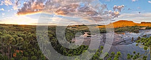Aerial panorama of tent in an araucaria forest and beautiful river by sunset