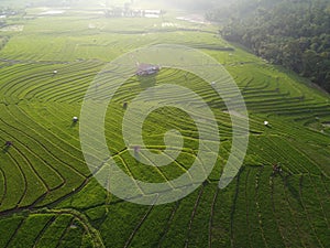 aerial panorama of terraced agrarian rice fields landscape in the city of Semarang