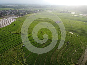 aerial panorama of terraced agrarian rice fields landscape in the city of Semarang