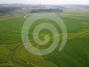 aerial panorama of terraced agrarian rice fields landscape in the city of Semarang