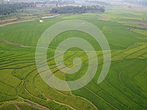 aerial panorama of terraced agrarian rice fields landscape in the city of Semarang