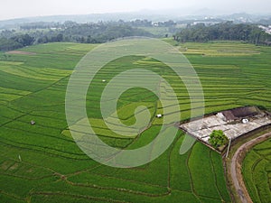 aerial panorama of terraced agrarian rice fields landscape in the city of Semarang