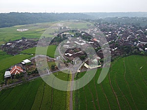 aerial panorama of terraced agrarian rice fields landscape in the city of Semarang