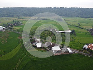 aerial panorama of terraced agrarian rice fields landscape in the city of Semarang