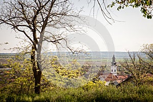 Aerial Panorama of Titel, with the serbian orthodox church of the dormition in background.