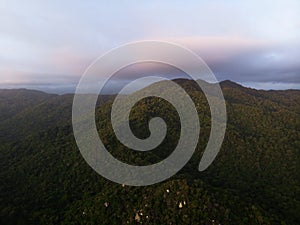 Aerial panorama of tropical palm tree rainforest jungle at Tayrona National Park Caribbean coast Colombia South America