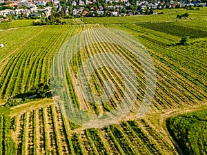 An aerial panorama of Vienna Nussdorf with vineyards rows