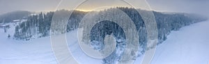 Aerial panorama view of winter pine tree forest, subarctic landscape, frozen, foggy air, low clouds, much snow on old high pine