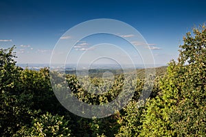 Aerial panoramal of Novi Sad, seen from a hill of Fruska Gora National park during a sunny summer afternoon surrounded by green